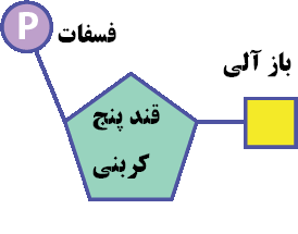 img_e8b5cd41_1787517161.png